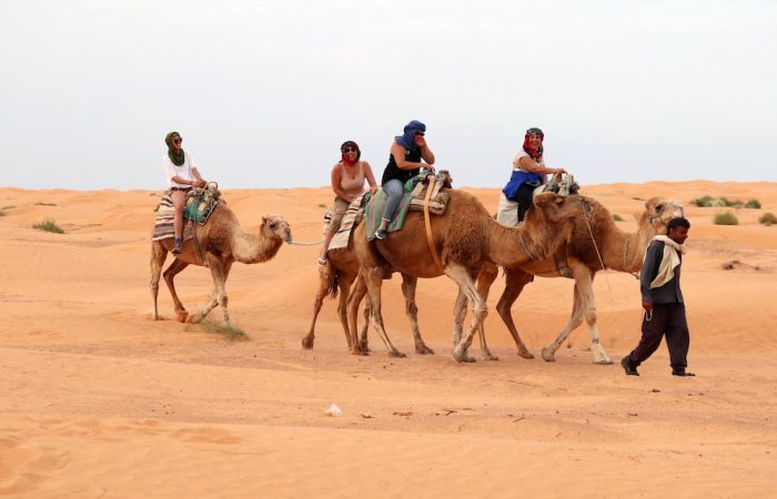 Camel Riding in Ksar Ghilane